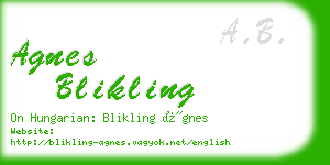 agnes blikling business card